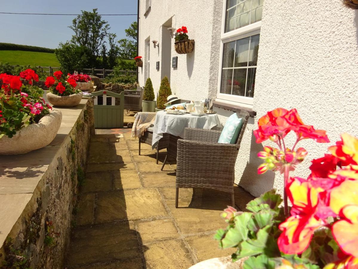 مورفا نيفين Yr Hen Felin - The Old Mill B&B المظهر الخارجي الصورة