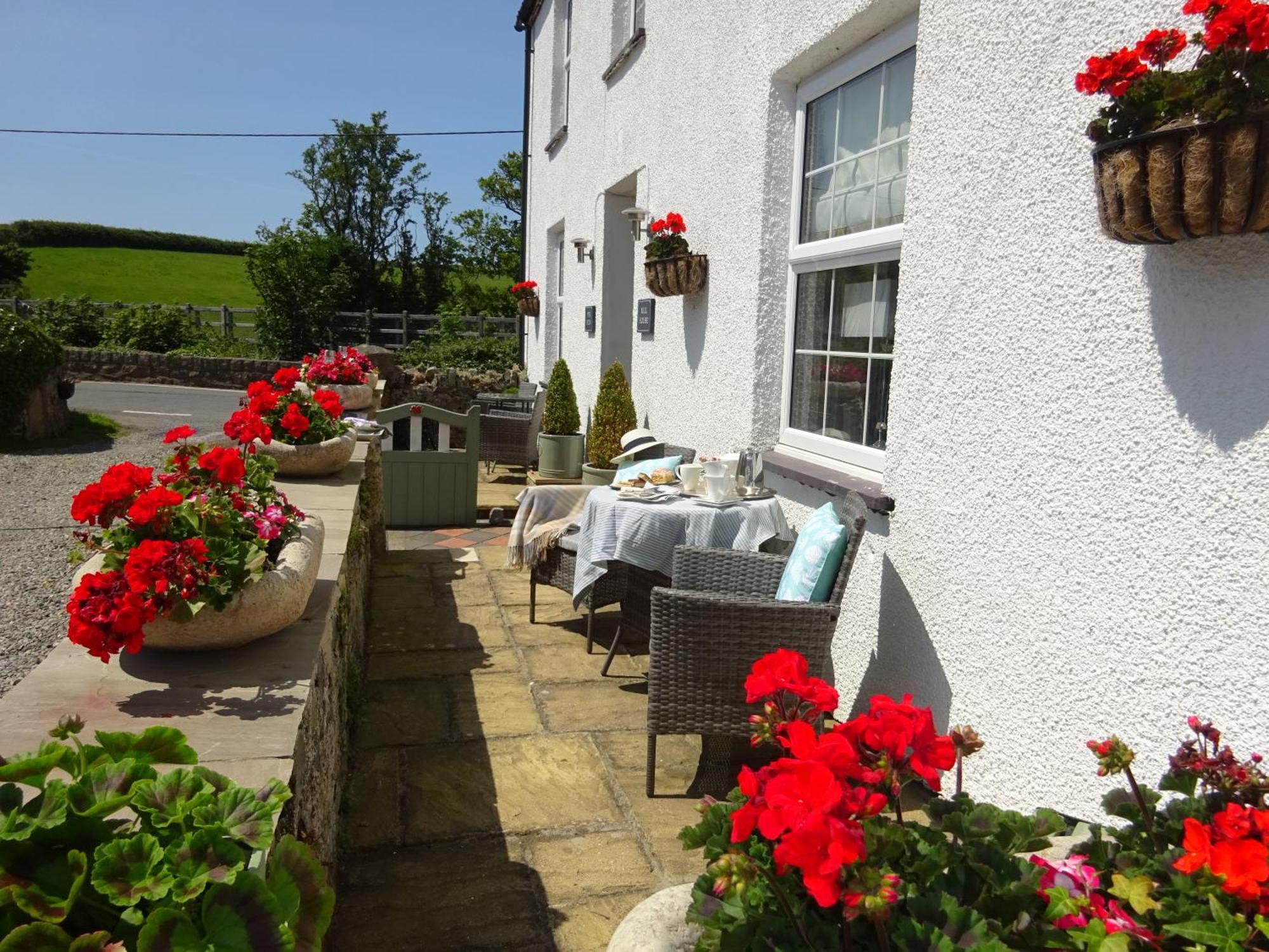 مورفا نيفين Yr Hen Felin - The Old Mill B&B المظهر الخارجي الصورة