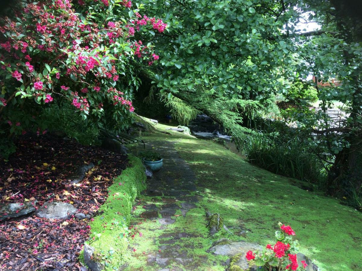مورفا نيفين Yr Hen Felin - The Old Mill B&B المظهر الخارجي الصورة